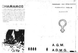 Programa das orgaizacios feministas cara as elecciós