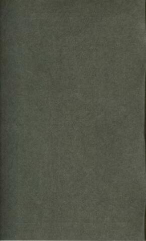 Open original Obxecto dixital